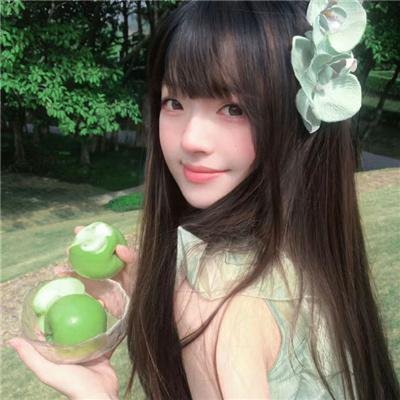 狗狗大展